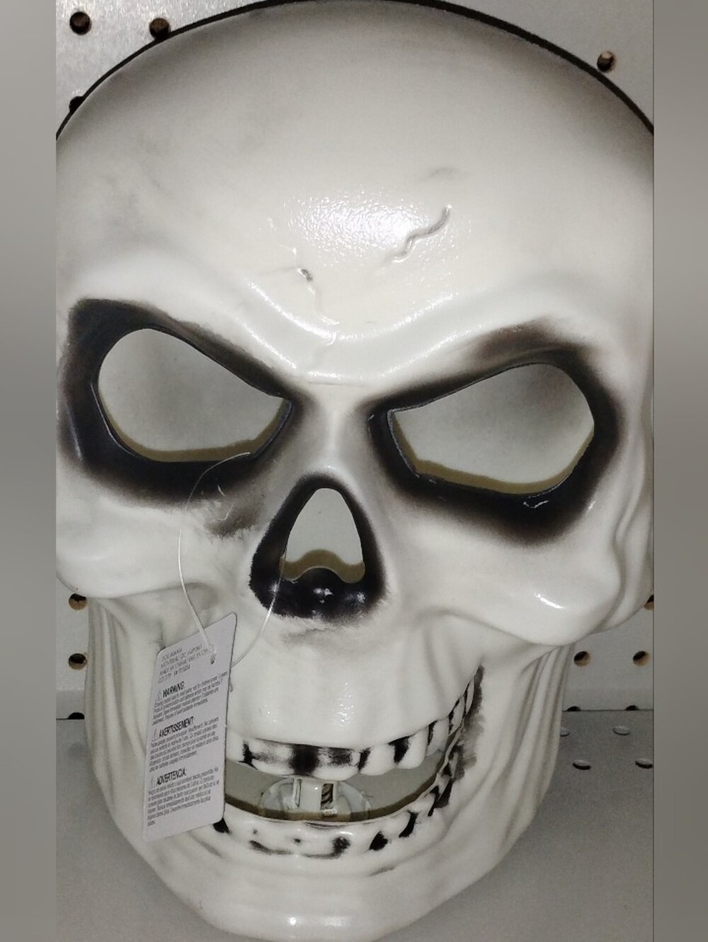 Halloween White Skull Decoration - Gothic Home Accent